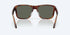 Costa Sunglasses Los Alijos