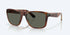 Costa Sunglasses Los Alijos