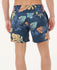 Rip Curl Mens Boardshorts Fun Times 16