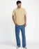 RVCA Mens Woven That'll Do Stripe