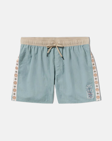 RVCA Mens Boardshorts Charm Elastic 16"