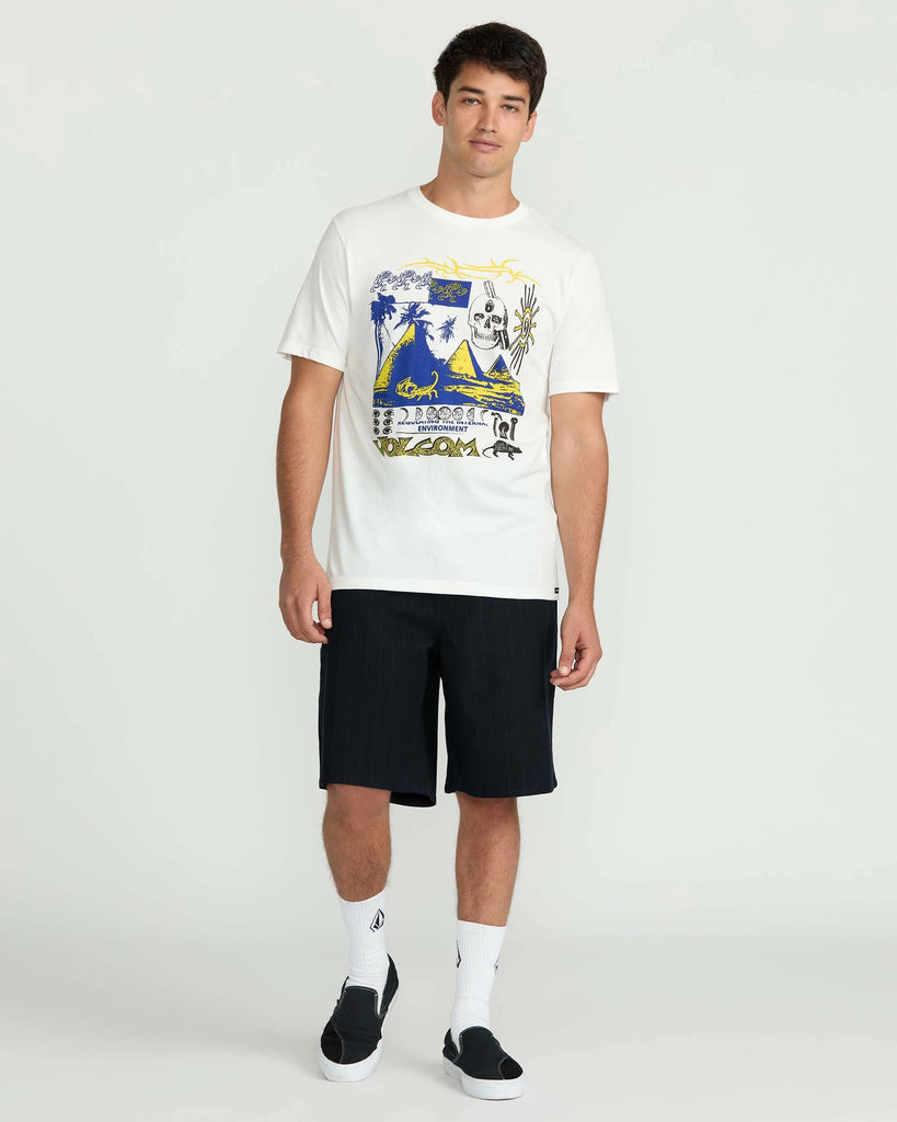 Volcom Mens Shorts Billow 22