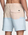 RVCA Mens Boardshorts VA Atlas Elastic 17