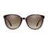 Smith Sunglasses Cheetah