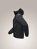 Arc'teryx Mens Snow Layers Atom Hoody