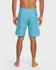 Quiksilver Mens Boardshorts Surfsilk Arch 19