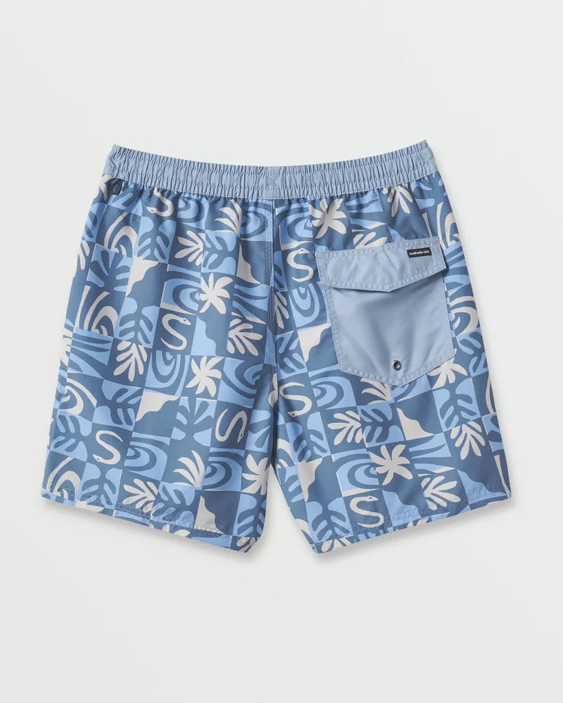 Quiksilver Mens Boardshorts Everyday Terra
