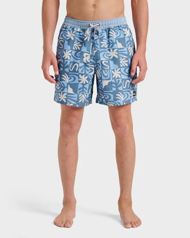 Quiksilver Mens Boardshorts Everyday Terra