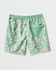 Quiksilver Mens Boardshorts Everyday Terra