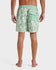 Quiksilver Mens Boardshorts Everyday Terra