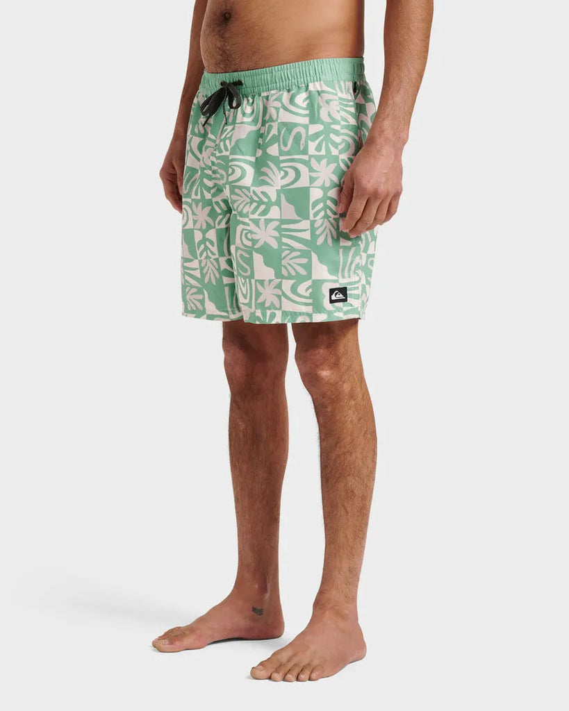 Quiksilver Mens Boardshorts Everyday Terra