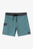 Oneill Mens Boardshorts Lineup 17