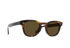 RAEN Sunglasses Squire